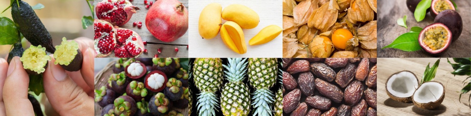 Feestelijke biologische exoten voor december (1)